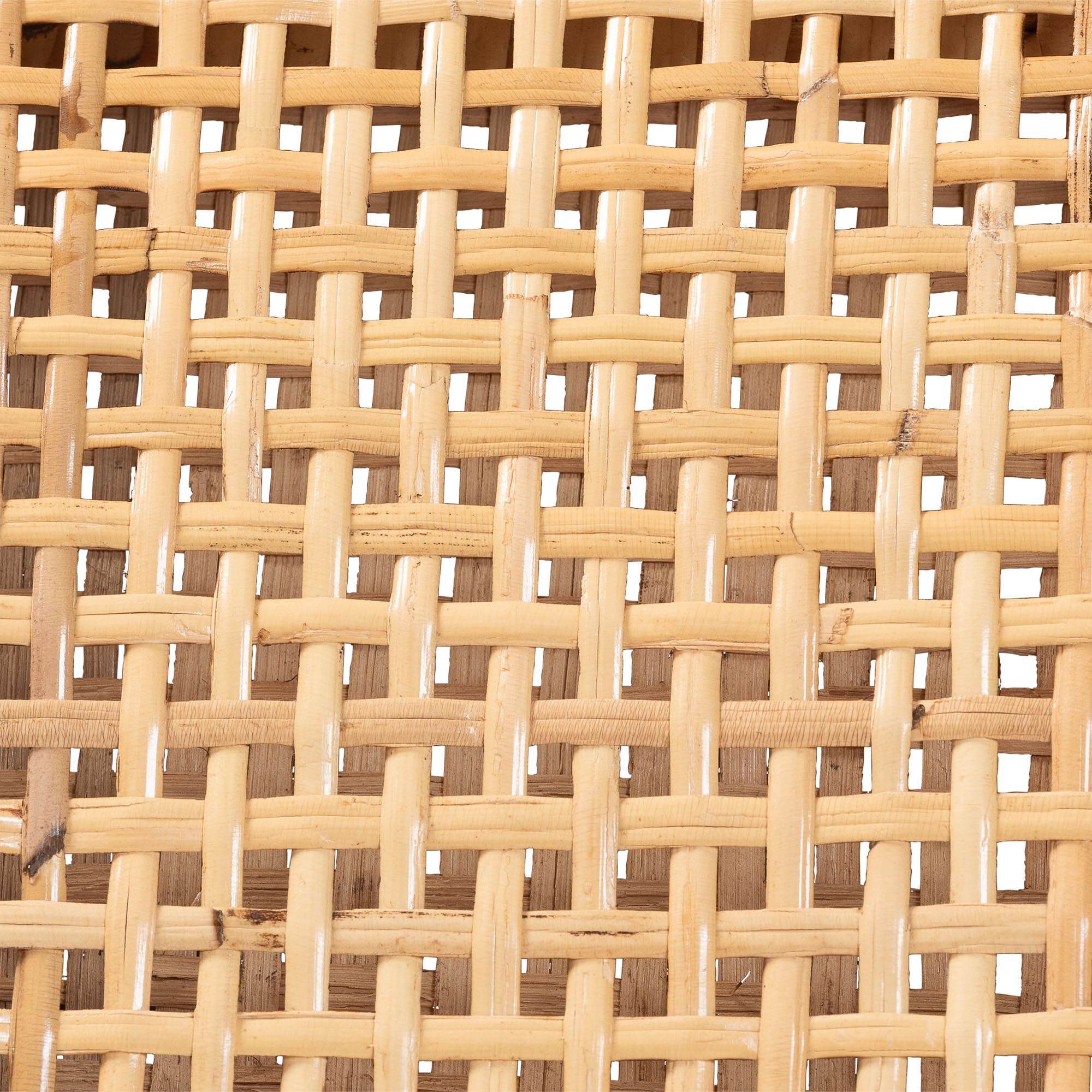 Chatura Natural Rattan and Mahogany Wood 2-Piece Dining Side Chair Set, HONEY, alternate image number 6