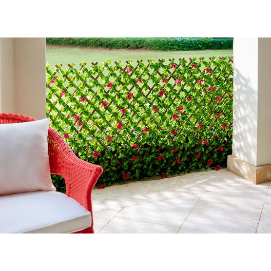 Purple Bougainvillea Privacy Screen, GREEN
