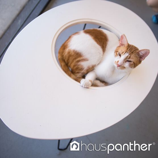Hauspanther NestEgg - Raised Cat Bed & Side Table, , alternate image number null