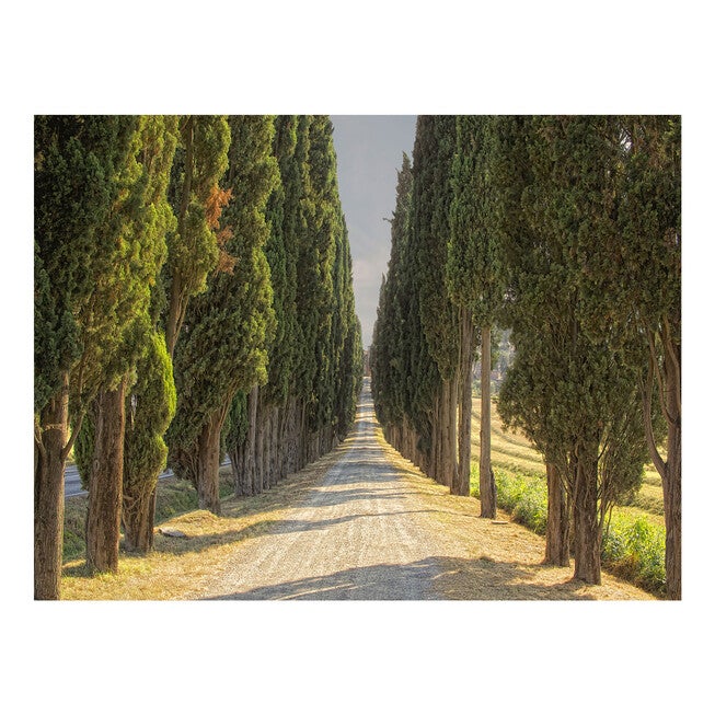All Weather All Season Outdoor Canvas Art, MULTI, hi-res image number null