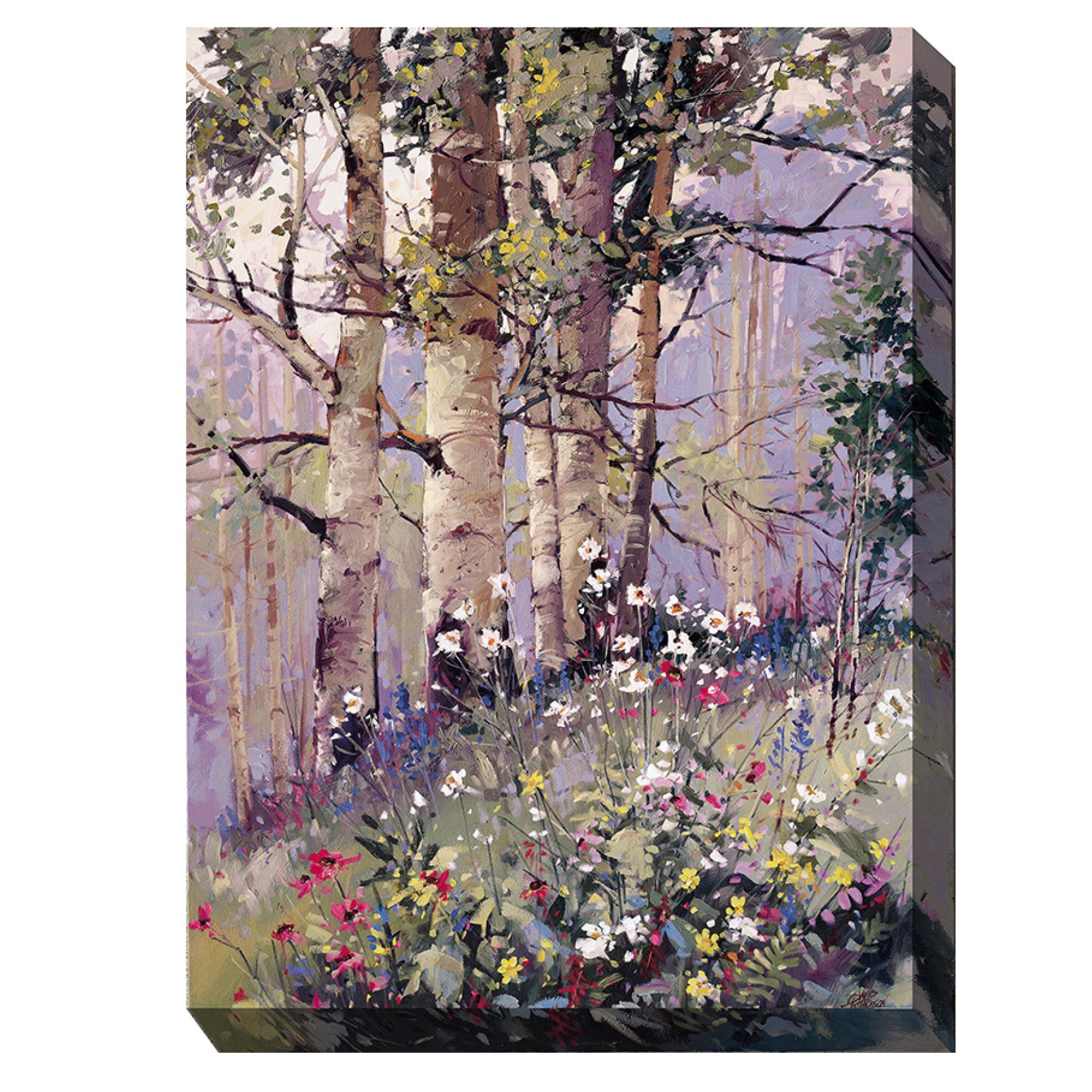 ASPEN SPRING