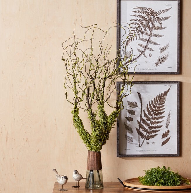 Moss Foliage Vine Branch (Set of 2), GREEN/BROWN, alternate image number null