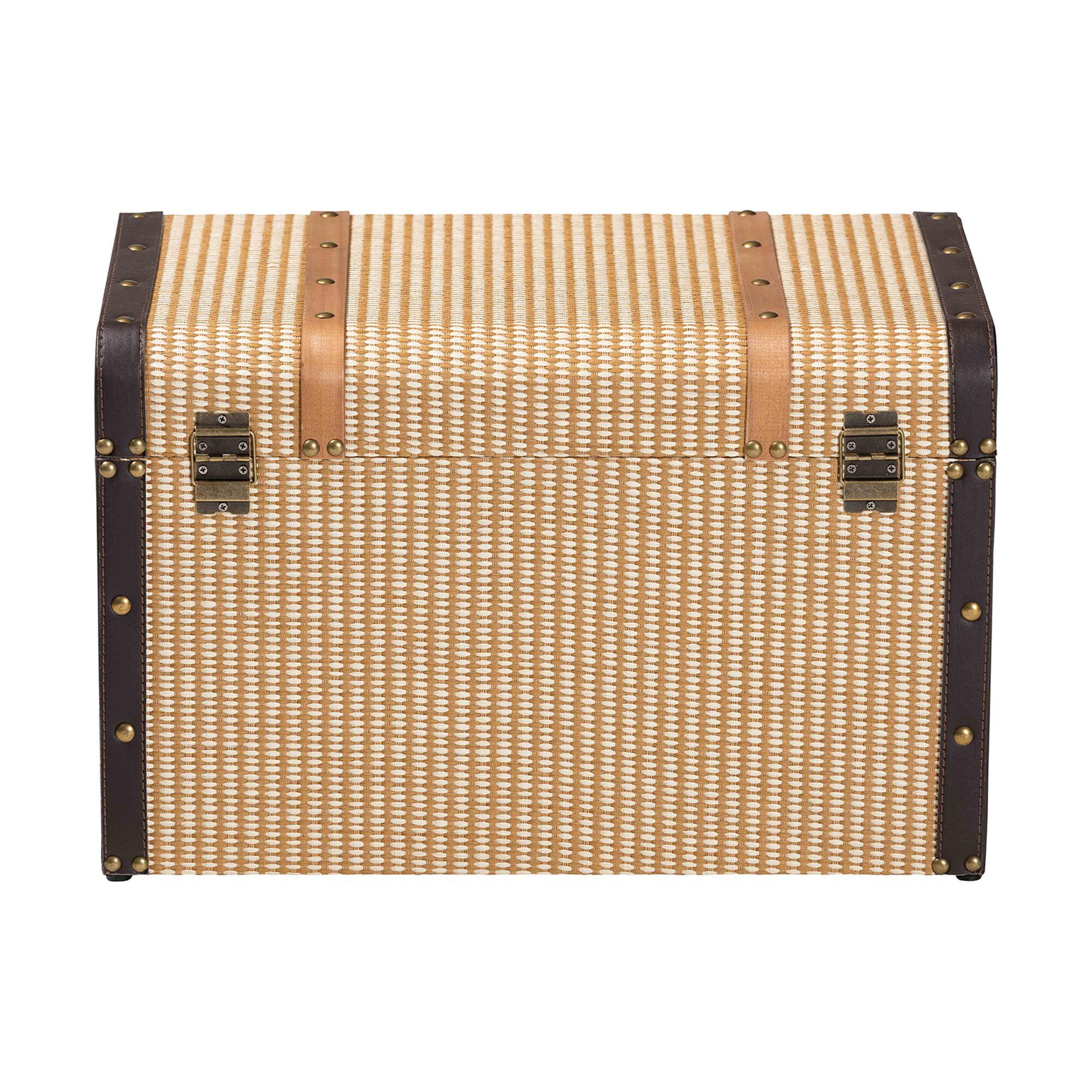 Manton Storage Trunk, BROWN, alternate image number 5