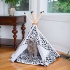 Pet Tent/Teepee Cat Dog Bed, , alternate image number null