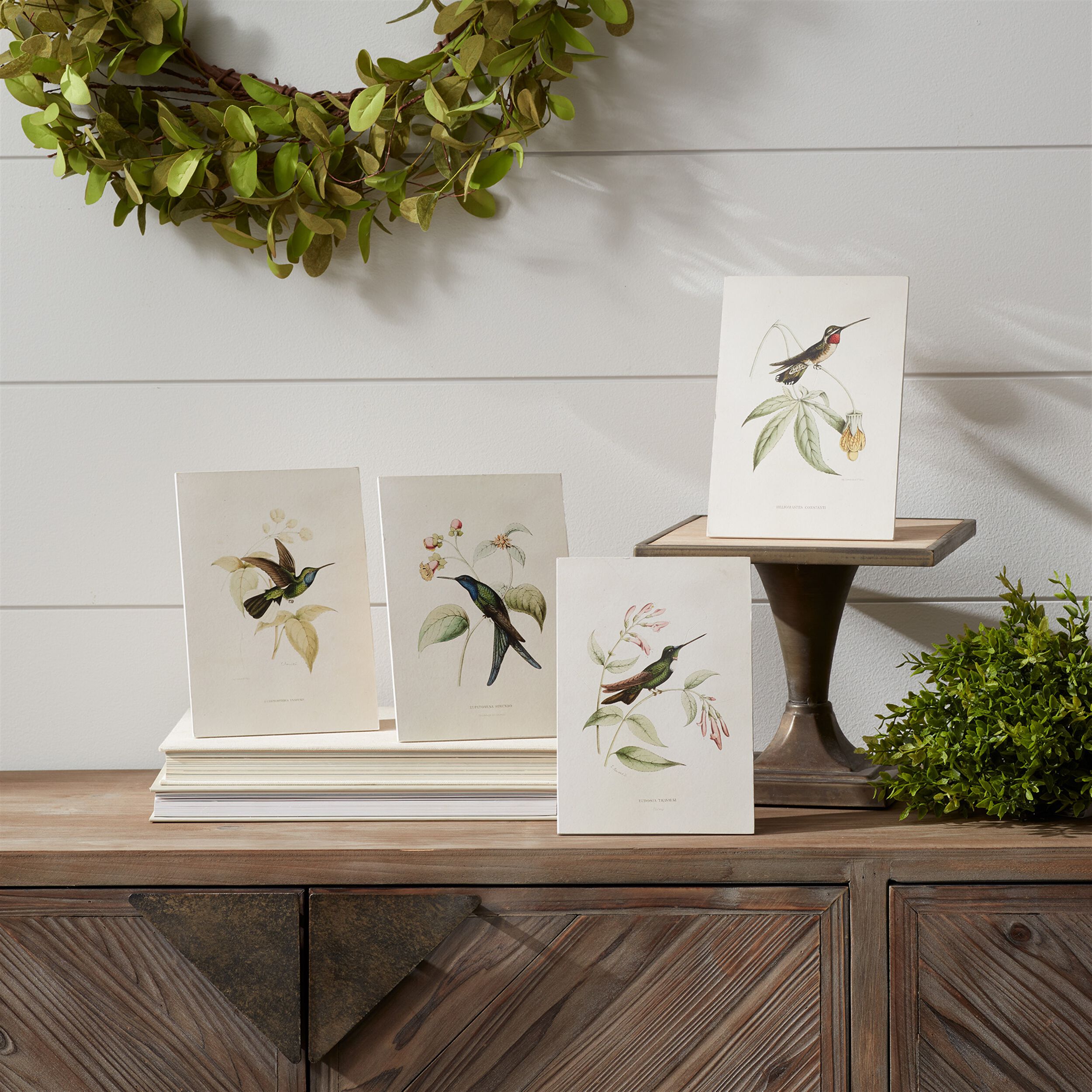 Tabletop Encyclopedia Hummingbird Print (Set of 4), WHITE GREEN BROWN, alternate image number 1