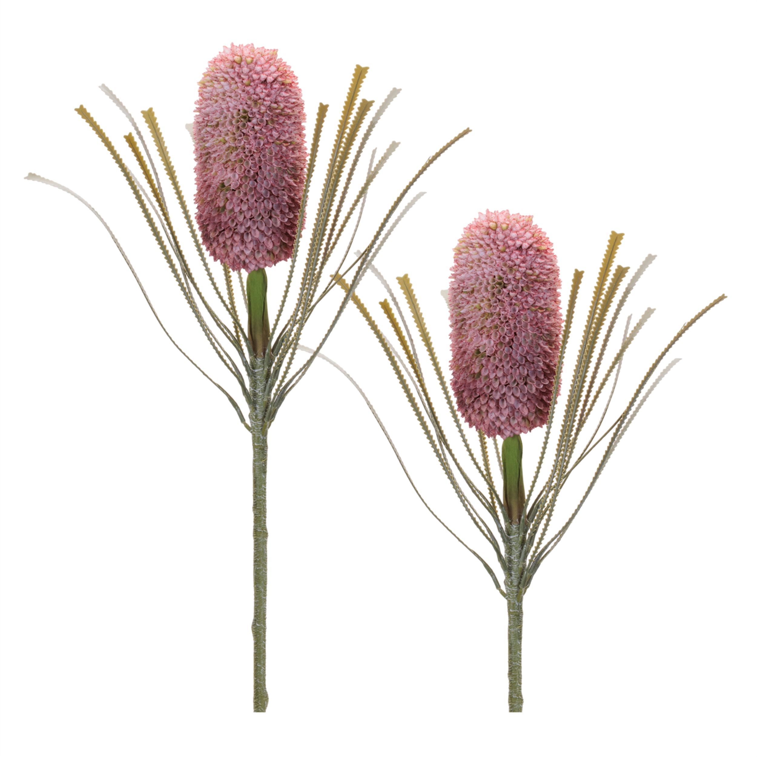 Protea Floral Stem Set of 2, RED GREEN, hi-res image number 0