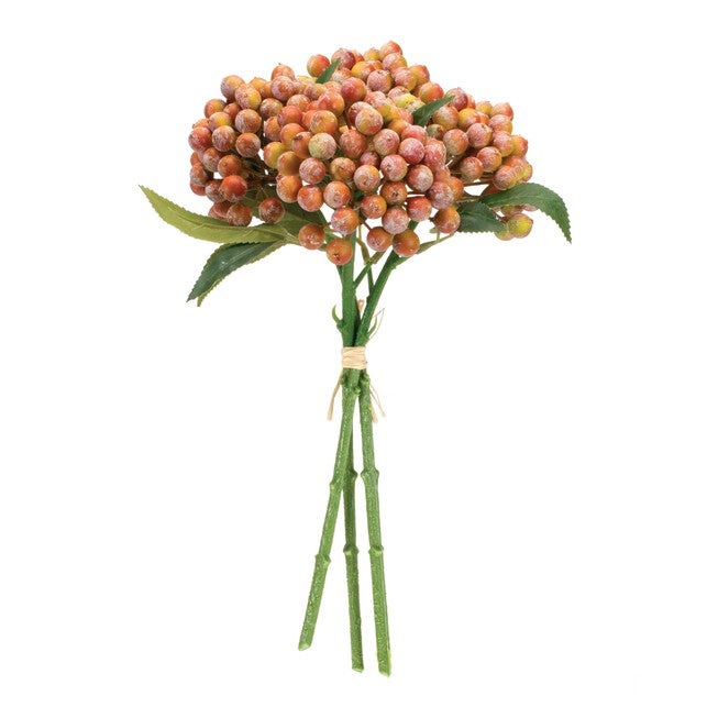 Orange Berry Bundle (Set of 2), ORANGE PINK GREEN, alternate image number null
