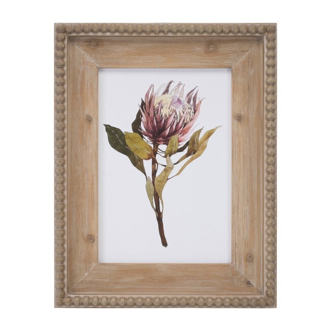 Wood Framed Protea Floral Print (Set of 2), GREEN WHITE BROWN, alternate image number null