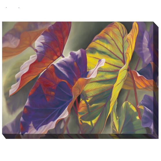 Elephant Ears Outdoor Art, MULTI, hi-res image number null