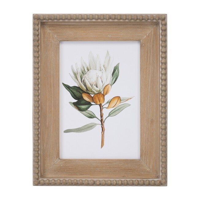 Wood Framed Protea Floral Print (Set of 2), GREEN WHITE BROWN, alternate image number null