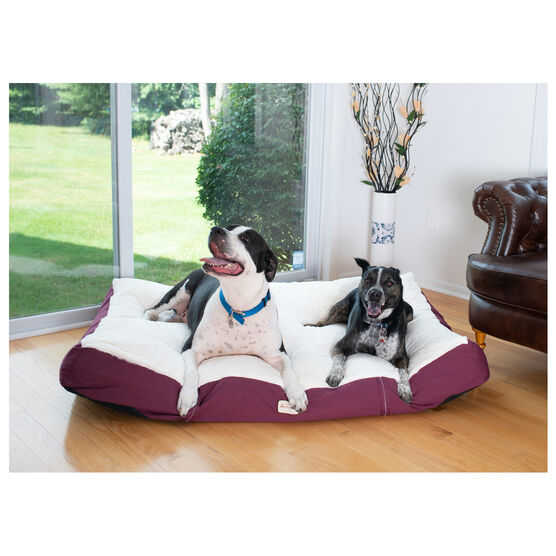 Double Extra Large Pet Dog Bed Mat With Poly Fill Cushion And Removable Cover, , on-hover image number null