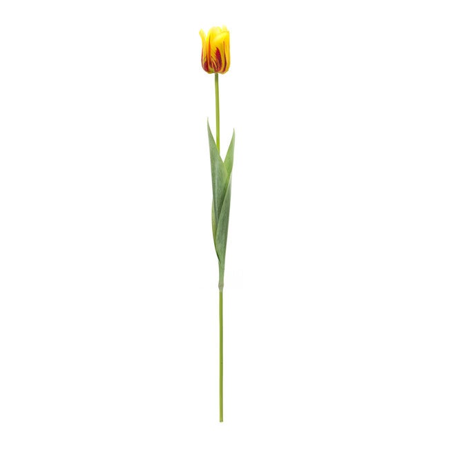 Yellow And Red Tulip Stem (Set Of 6), , alternate image number null