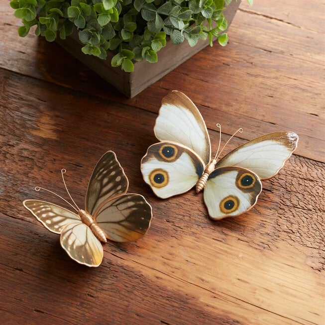 Amber Butterfly and Moth Shelf Sitter (Set of 2), WHITE/BROWN/ORANGE, alternate image number null