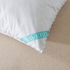300 Thread Count Cotton White Duck Down Pillow Bed Pillow, , alternate image number 2