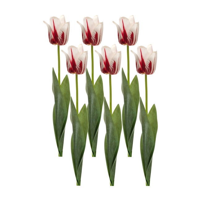 Yellow And Red Tulip Stem (Set Of 6), , alternate image number null