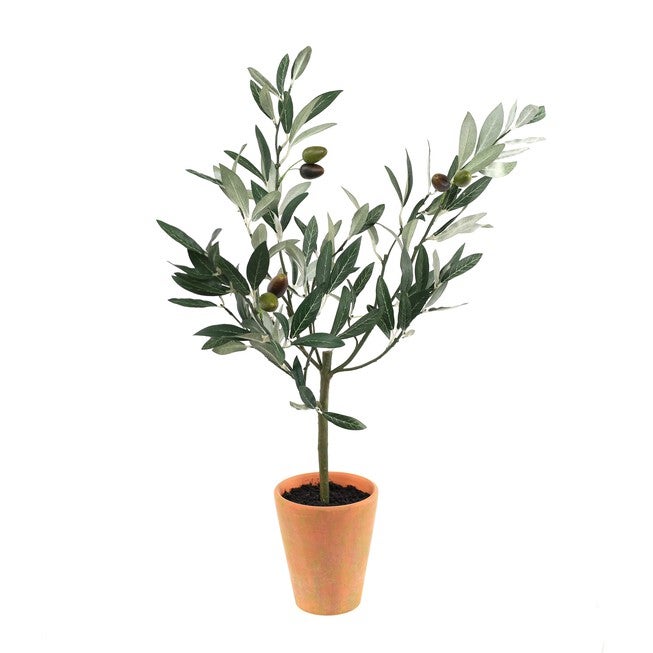 Potted Olive Tree Topiary 22 inchesH, GREEN, hi-res image number null