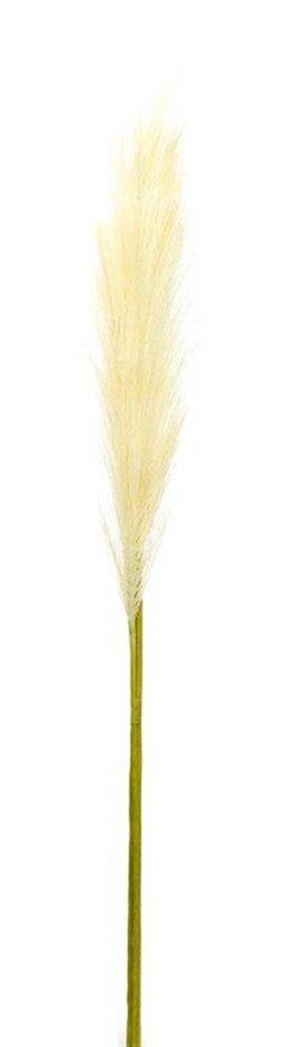 Pampas Spray (Set of 4) 30 inchesH Polyester, BEIGE/GREEN, alternate image number 1