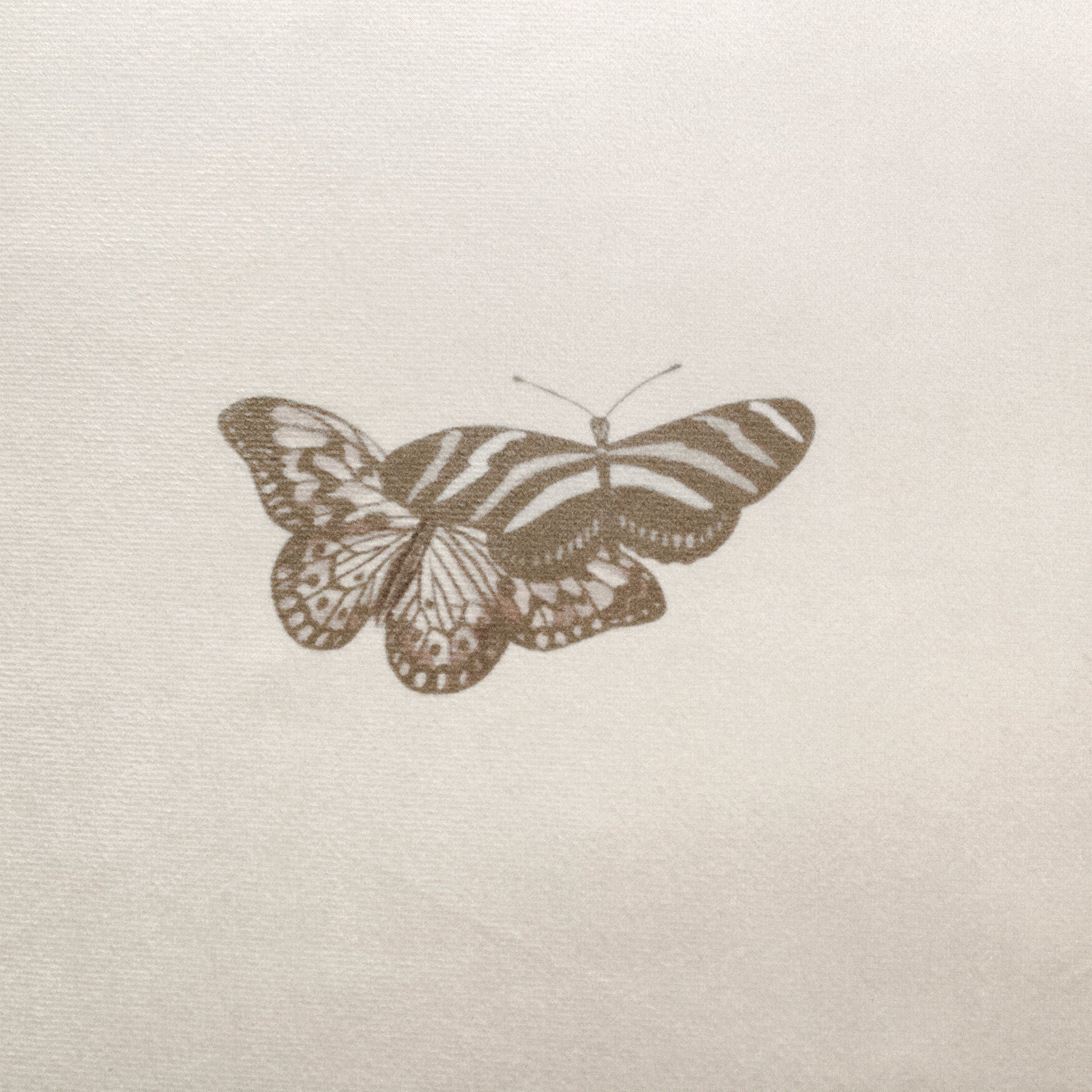 Edie@Home Velvet Bold Butterfly Decorative Pillow Dec Pillow, , alternate image number 3