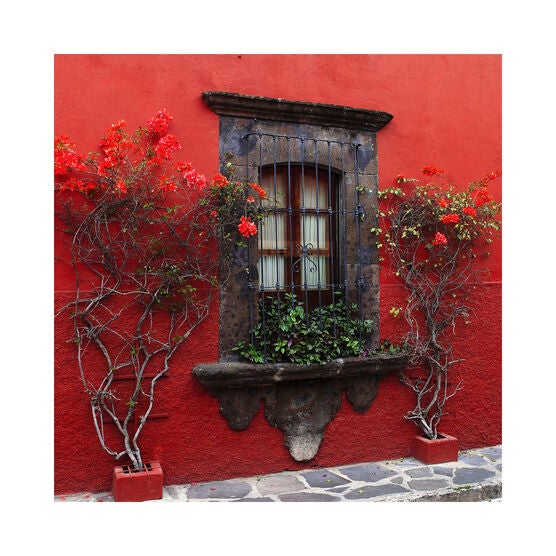 All Weather All Season Outdoor Canvas Art, RED, hi-res image number null