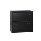 2 Drawer Lateral Filing Cabinets File Cabinet, ESPRESSO, hi-res image number null
