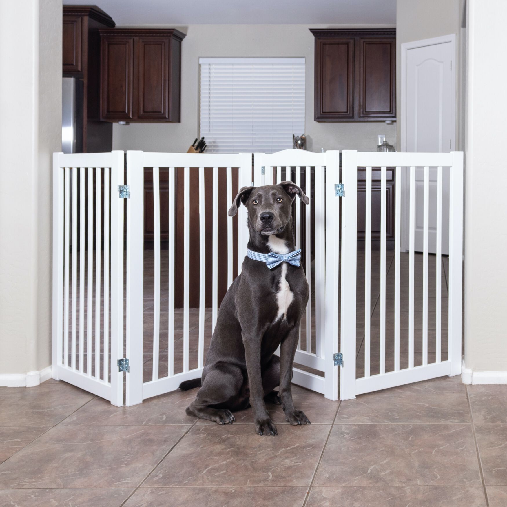 Primetime petz 360 configurable discount dog gate with door