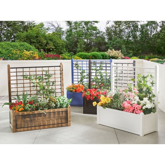 Flower Box With Trellis, 