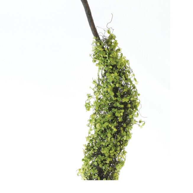 Moss Foliage Vine Branch (Set of 2), GREEN/BROWN, alternate image number null
