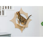 Sun Shape Cat Wall Shelves, , alternate image number null