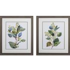 Seeded Eucalyptus Framed Wall Décor, Set Of 2, GREEN, hi-res image number null