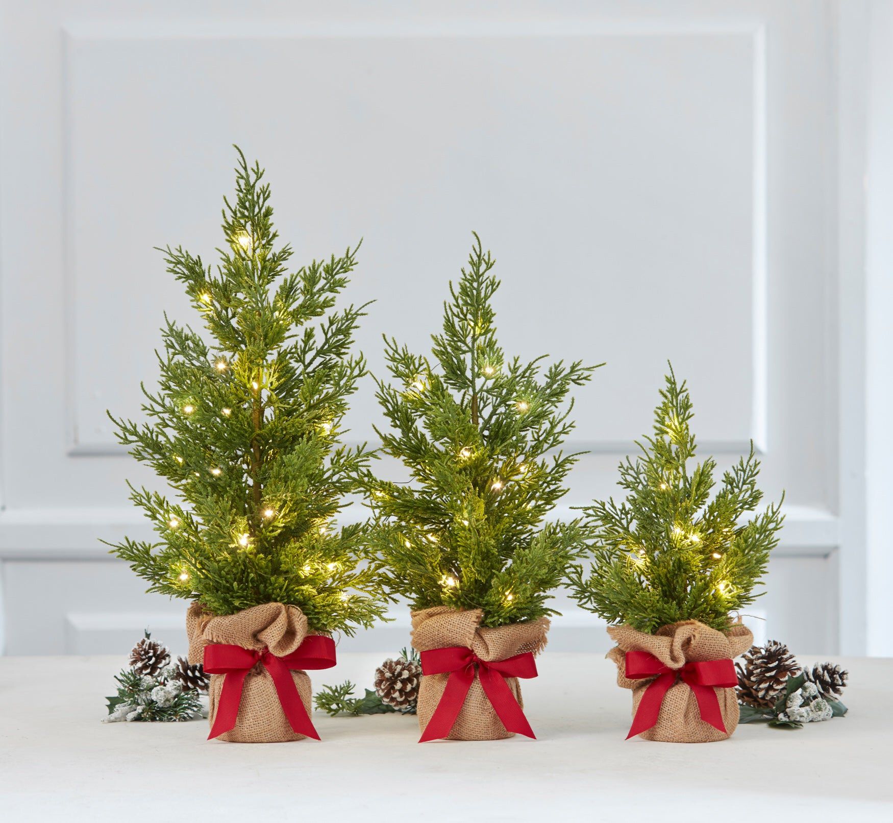 Pre-Lit Tabletop Trees, Set of 3, GREEN, hi-res image number 0