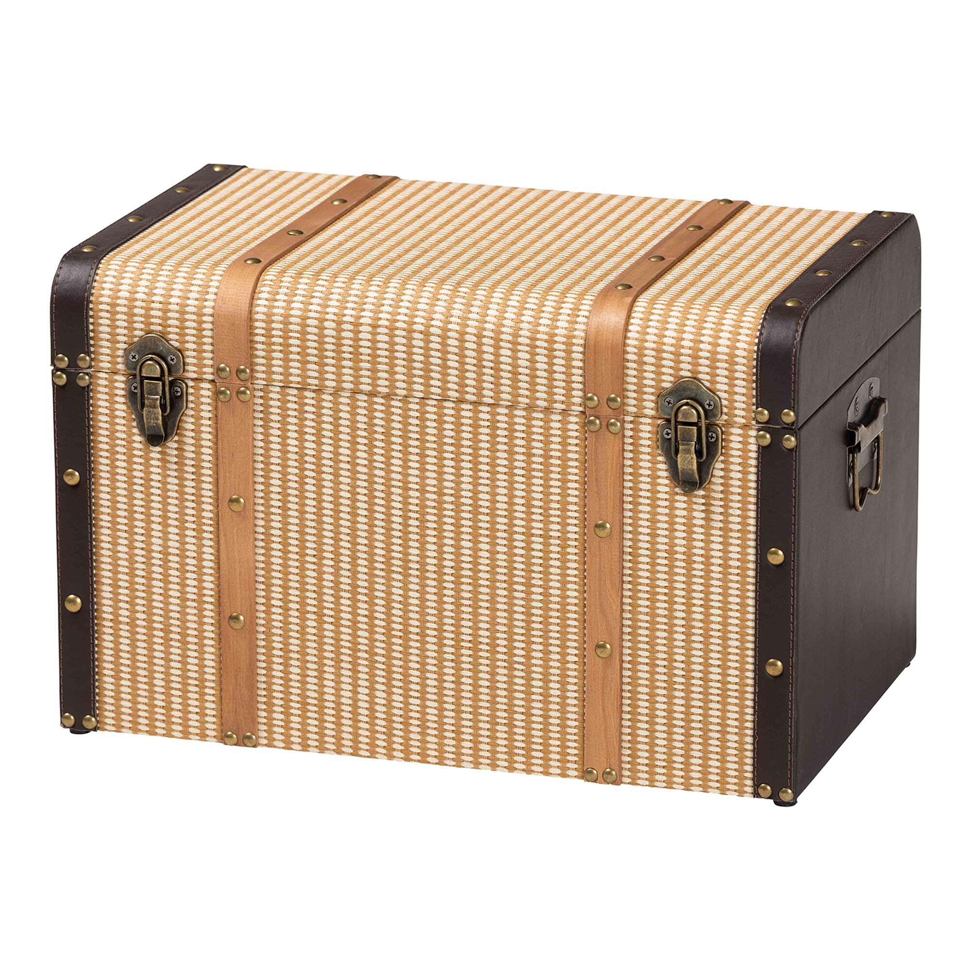 Manton Storage Trunk, BROWN, alternate image number 1