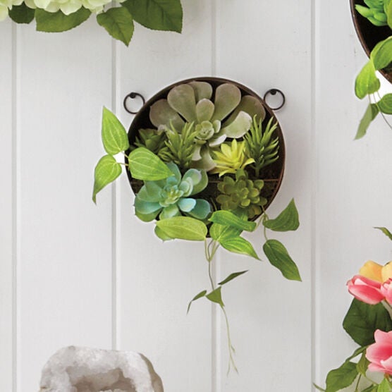 Small Succulent Wall Arrangement, GREEN Small Succulent Wall Arrangement, GREEN
