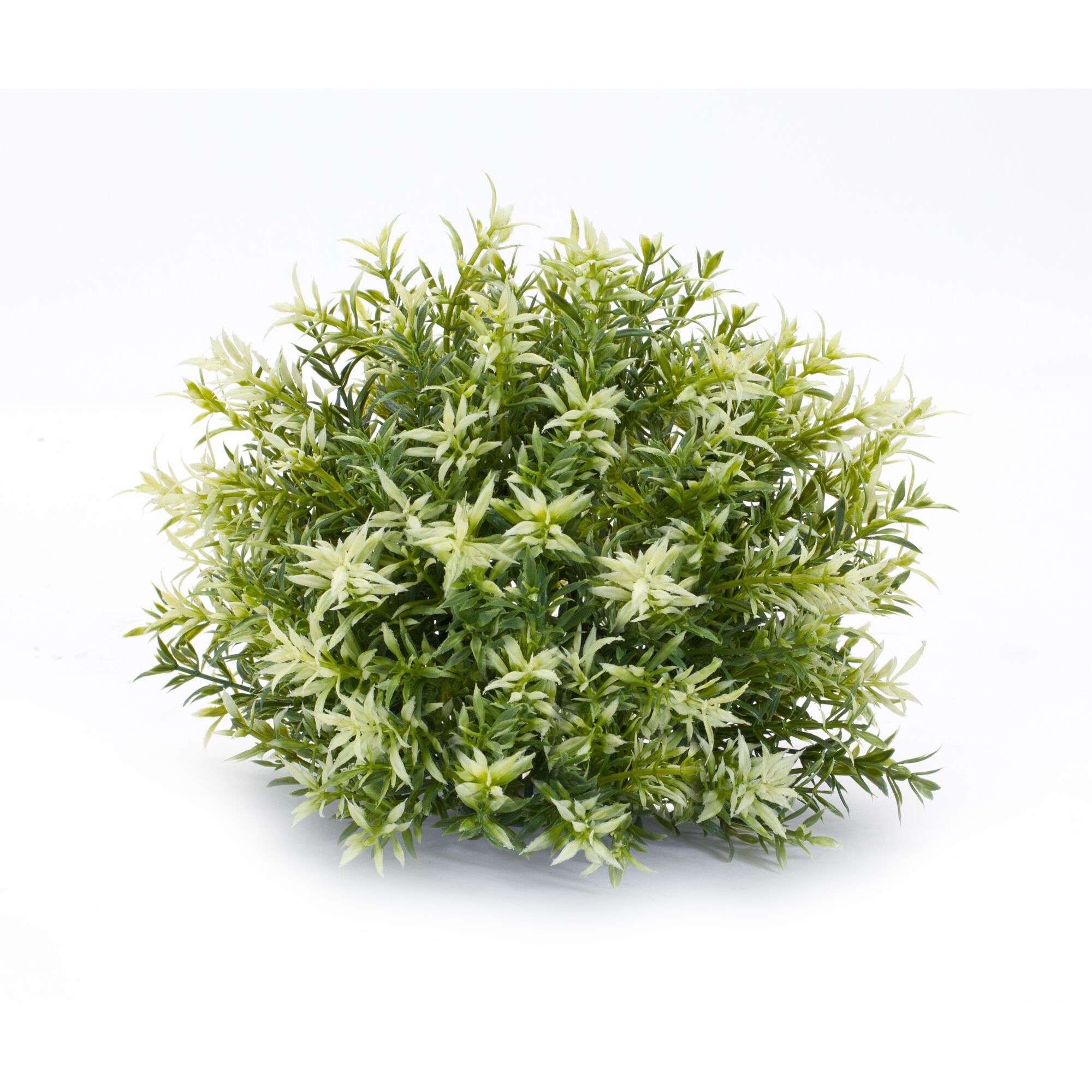 Half Orb (Set of 6) 10 inchesD x 8 inchesH Plastic, GREEN, alternate image number 4