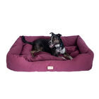 Bolstered Pet Dog Bed, Burgundy, Medium, BURGUNDY, hi-res image number 0