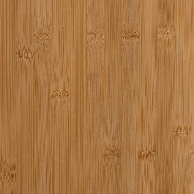 Naresh Mid-Century Modern Transitional Natural Brown Bamboo Wood 2-Door Storage Cabinet, , alternate image number null
