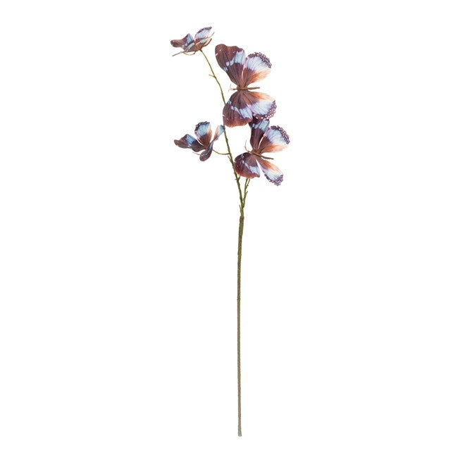 Butterfly Spray (Set of 6), BROWN/BLUE, alternate image number 1