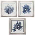 Coastal Seaweed Framed Wall Décor, Set Of 3, BLUE, hi-res image number null