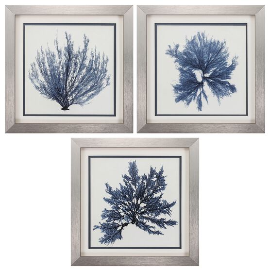 Coastal Seaweed Framed Wall Décor, Set Of 3, BLUE, hi-res image number null