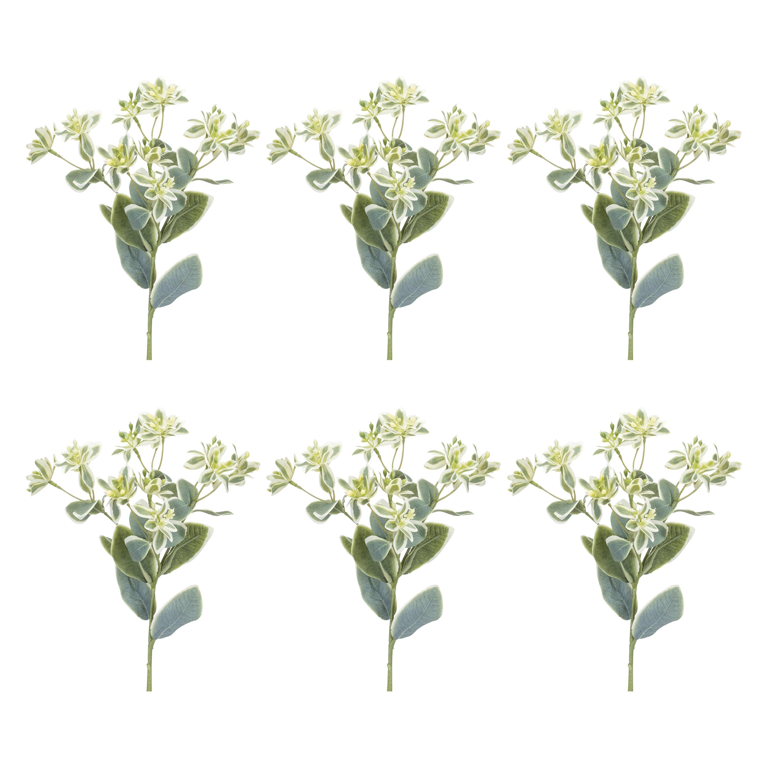 Euphorbia Floral Stem (Set of 6), GREEN/WHITE, alternate image number 2