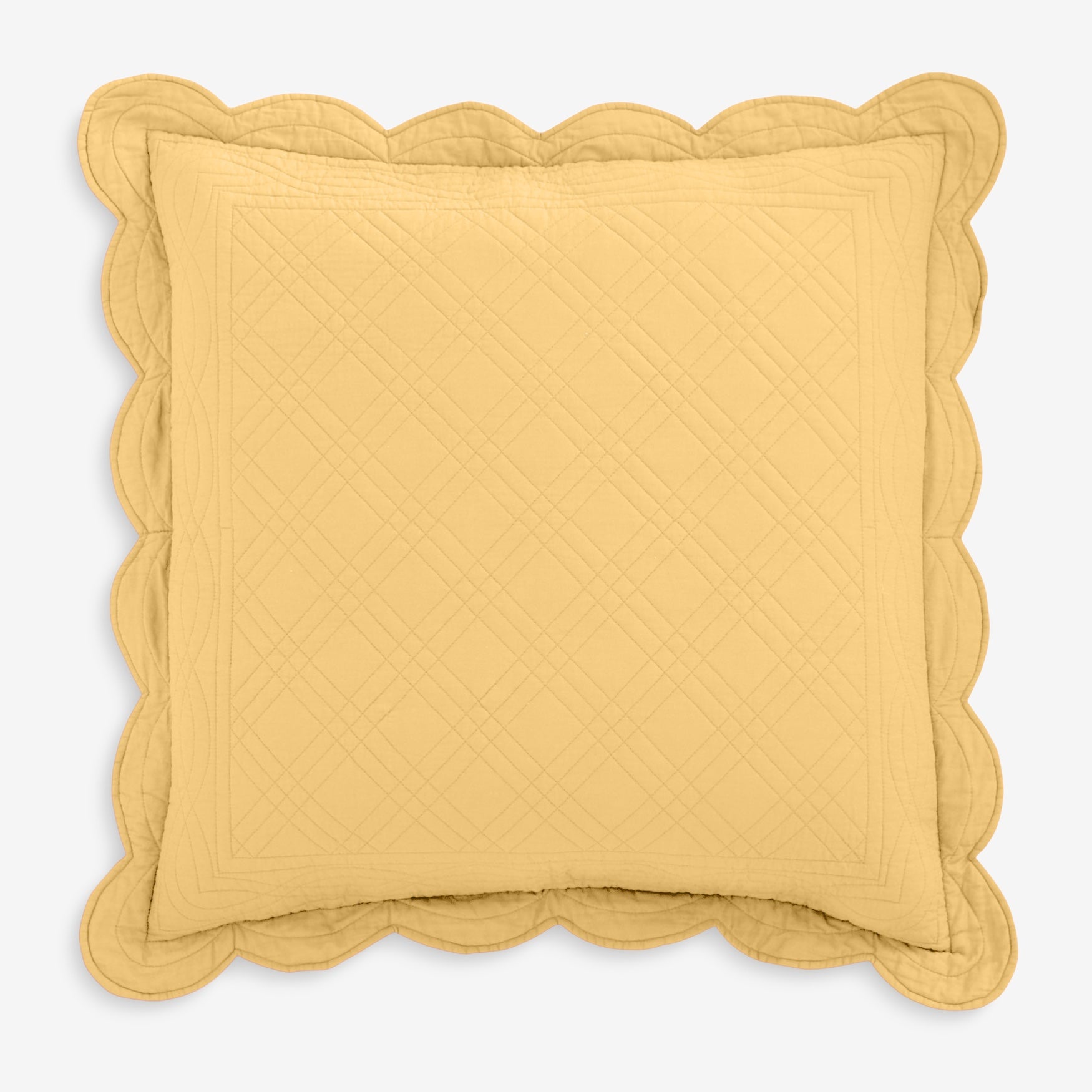 100% Cotton Florence Euro Sham image number 0