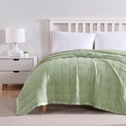 Down-Alternative Blanket image number null