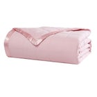 Down-Alternative Blanket image number null