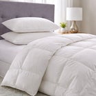 2-Pack Quilless Feather-Filled Pillows image number null