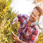 Arctic Air® Freedom image number null