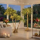 Pre-Lit 3-Branch Palm Tree image number null