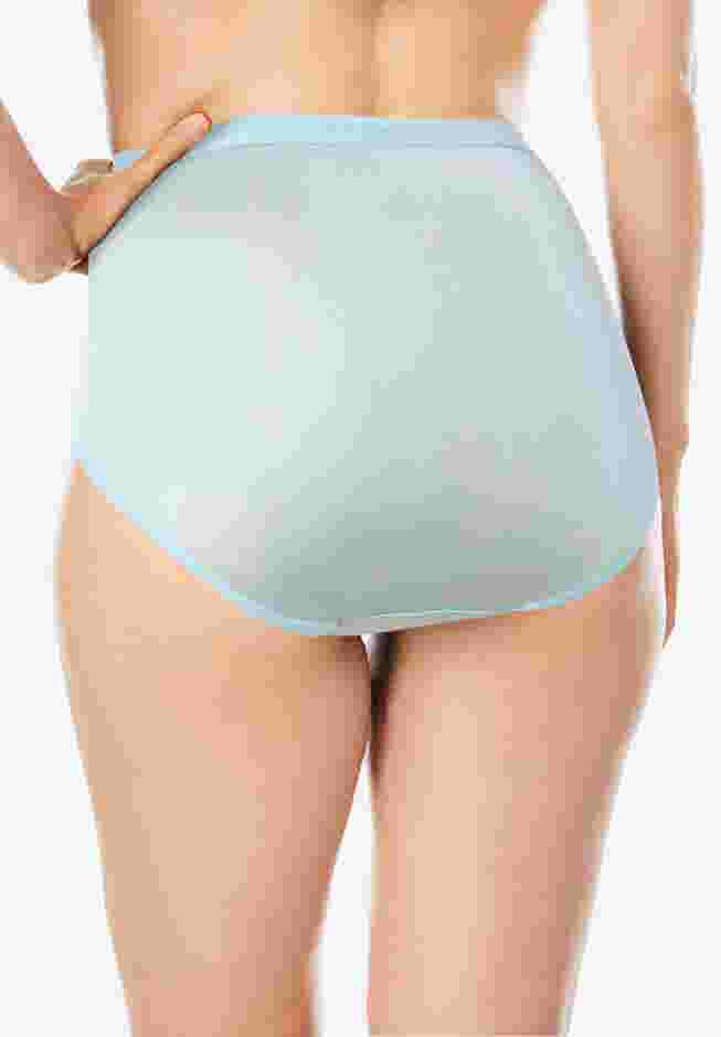 Full Coverage Nylon Brief 10-Pack image number 3