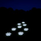 Paw Print Pathway Lights, Set of 4 image number null