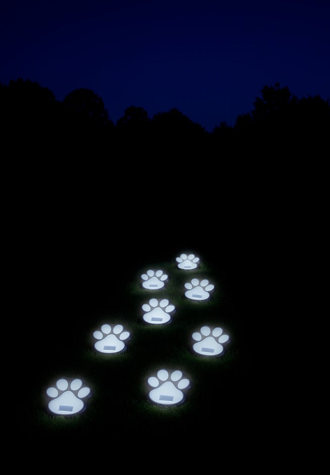 Paw Print Pathway Lights, Set of 4 image number 5