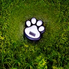 Paw Print Pathway Lights, Set of 4 image number null