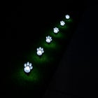 Paw Print Pathway Lights, Set of 4 image number null